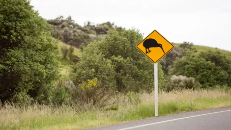 Kiwi company drives sales for Aussie retailers