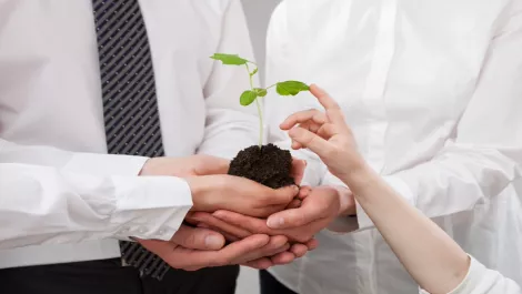STEM learning flourishes in world of flipped learning