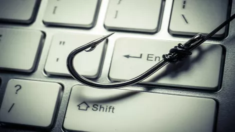 Kiwi employees vulnerable to phishing attacks, report finds