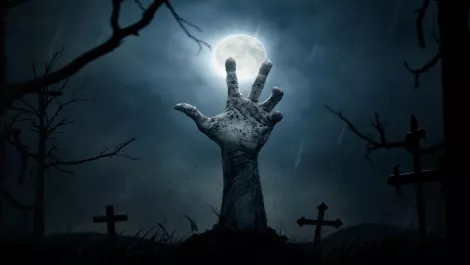 A message from beyond the grave: World's first coffin with WiFi