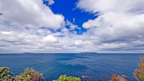 Exclusive: Resellers go wild for Dicker Data NZ promotion