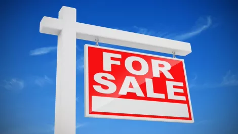 Wynyard Group's Cognevo business division up for sale; Telstra possible buyer