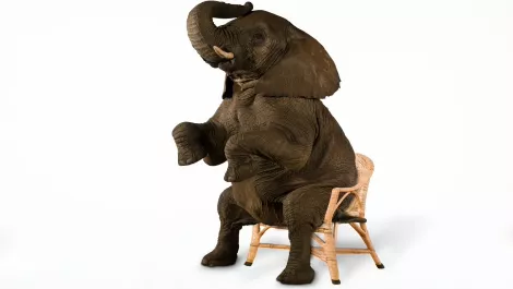 We made it: The biggest Educator stories that shaped 2016