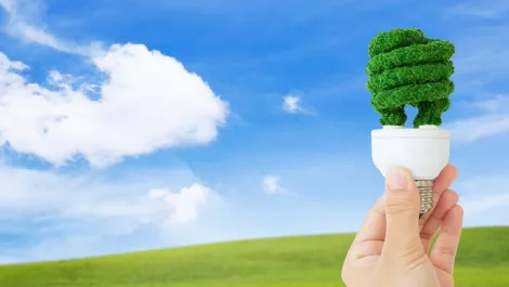 China's government is promoting clean green industrial parks