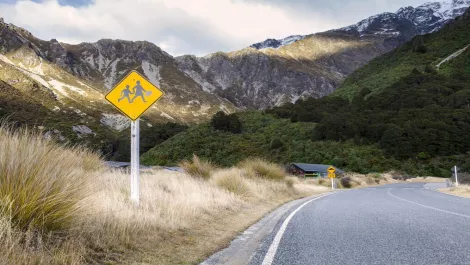 Microsoft: Connecting Kiwi schools through professional learning groups