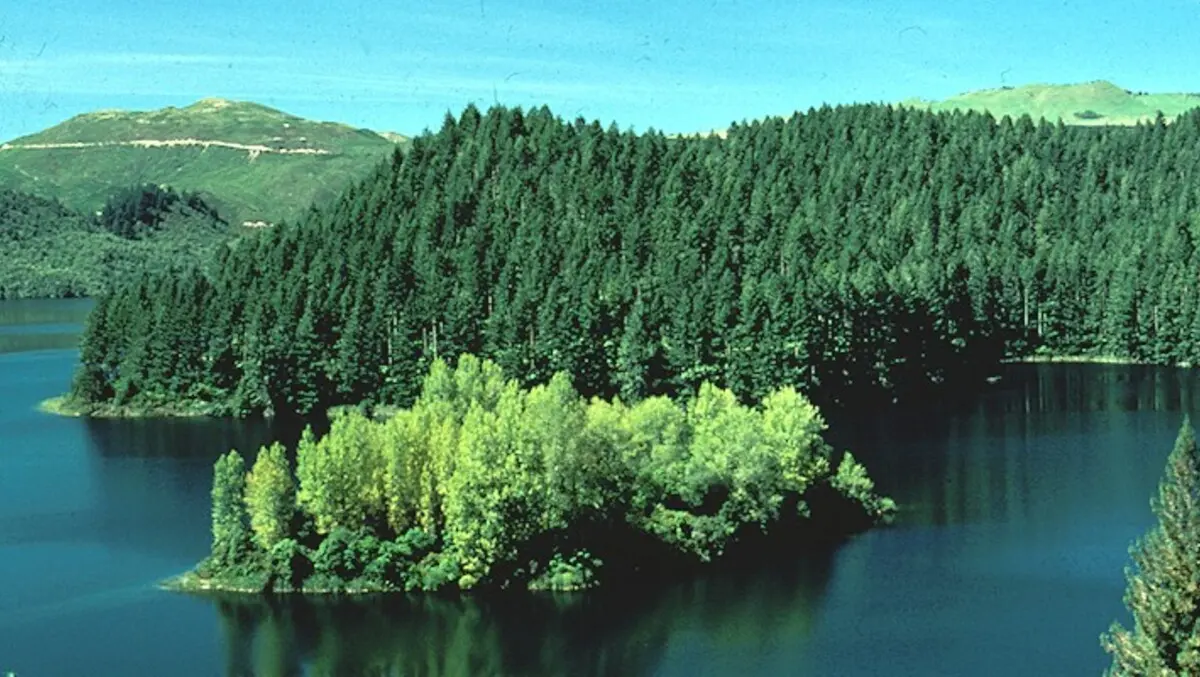 Poor forestry regulations will not protect rivers