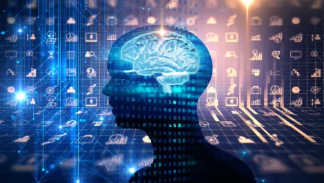 NZ IoT Alliance: By 2020, 100% of IoT will be supported by AI