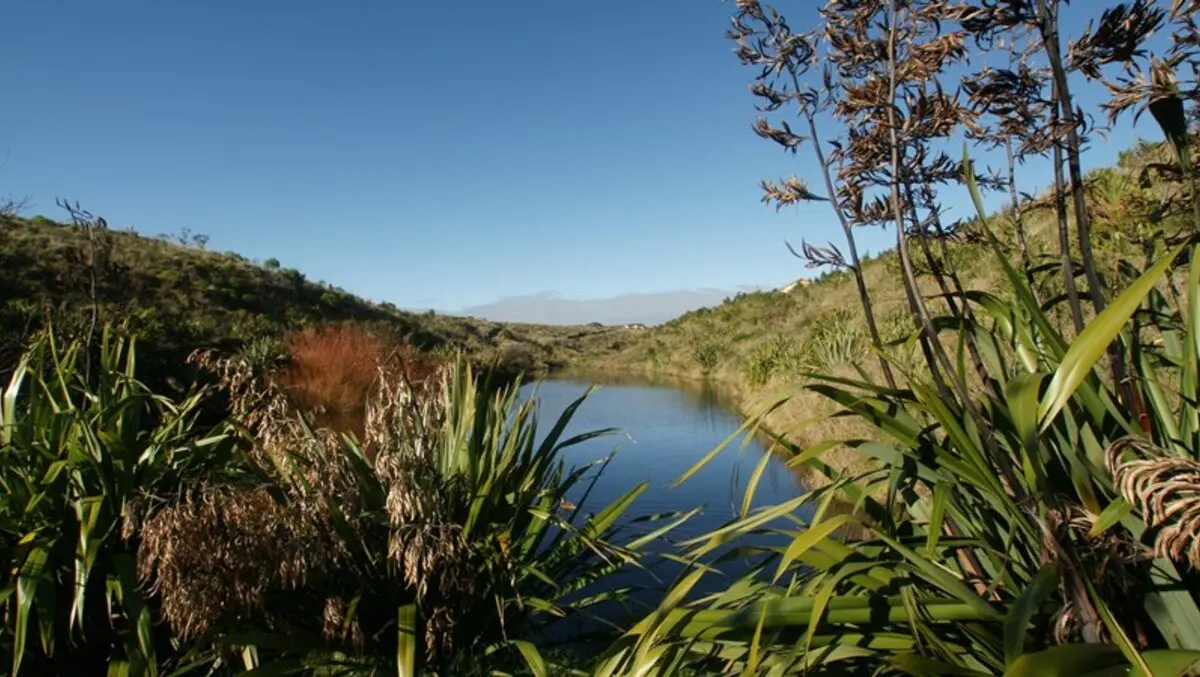 Palmerston North green grabs local government gold