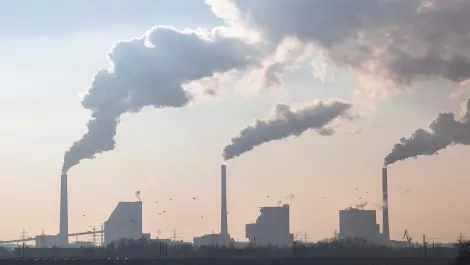 Greenpeace calls for a solar revolution as New Zealand emissions skyrocket