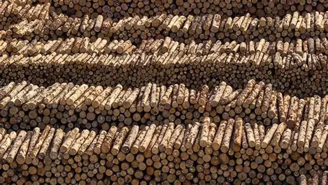 Safety first, always