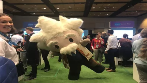 Top NZ businesses share Salesforce stories at Basecamp