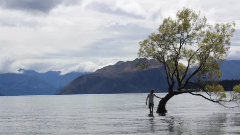 EHF Fellow creating a global model for blockchain policy from New Zealand
