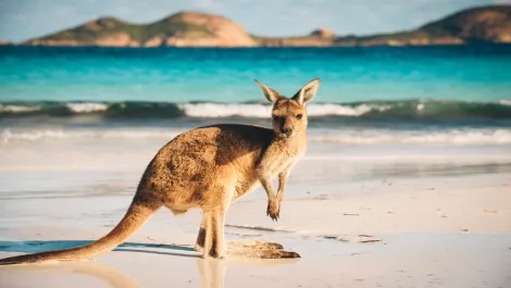 Aus startup partners with Alibaba Cloud to access China-Australia travel market