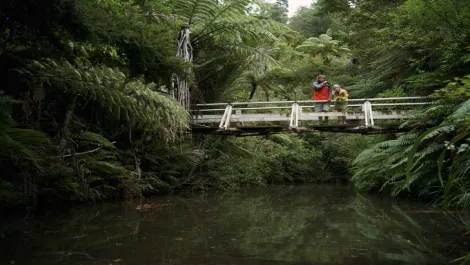 Forget rugby & tourism...NZTech's CEO on what Apple's latest acquisition means for us
