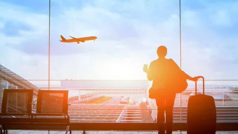 Stellar consulting brings ex-pat talent back home to NZ