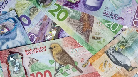 Opportunities as IOT, Cloud & ML keep growing, says Kiwi research