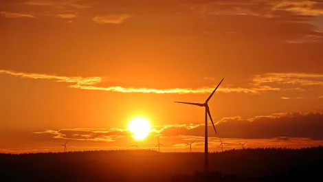 Renewable's rise: Report reveals countries with most wind power