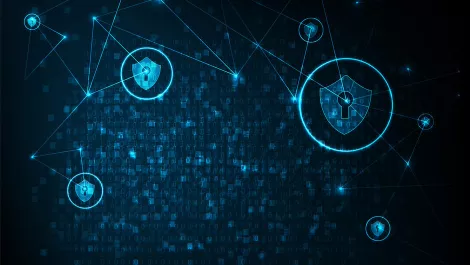 Stuck in the middle: how 'grey websites' highlight the importance of DNS decision-making