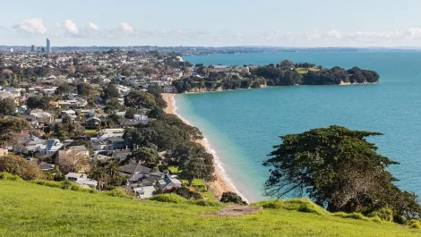 Tech businesses thriving in Auckland's North Shore - report