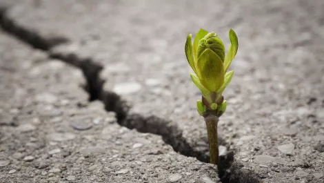 Finding resiliency and driving business success – advice from a CFO