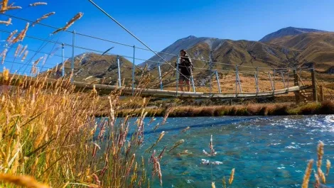 Social media key to understanding sustainable tourism