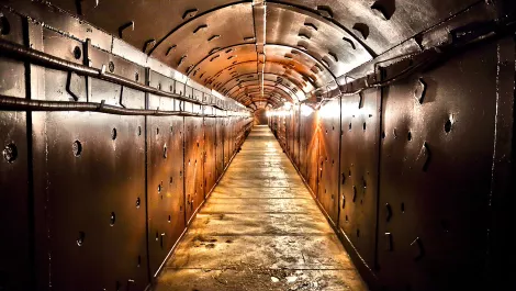 Carbon Black: Is your cyber panic room ready?