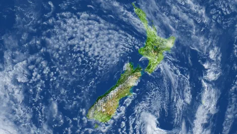 New Zealand tops list of most-scammed countries - Microsoft
