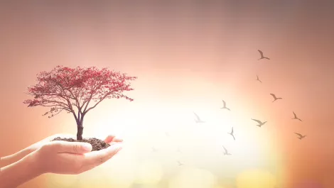 Three ways to improve mental health support in the workplace