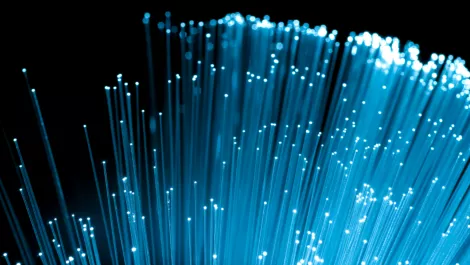 Why the optical transport equipment market is on the rise