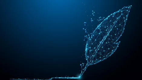 Callaghan Innovation grants Auckland SaaS firm $5m windfall