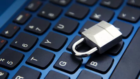 Sektor NZ acquires security distie DUO NZ