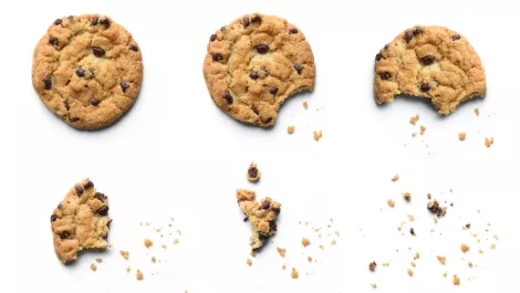 NZ's The Cookie Project seeks to break down disability stigmas