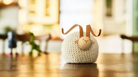 Mr Humfreez: The sheep that shows Kiwis their cold, damp homes