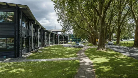 Hamilton turns on the charm to lure Auckland tech firms further south
