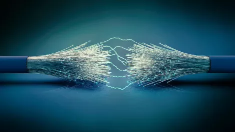 NZ's copper and fibre networks held up despite increased demand during lockdown