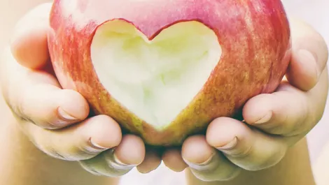 Ingram Micro & Jabra help Kiwis put food on the table