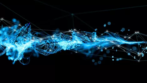 Survival of the fittest – how an IT portfolio can be rationalised without losing traction