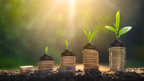 Kiwi start up FileInvite raises $2.3 million to target US financial services sustomers