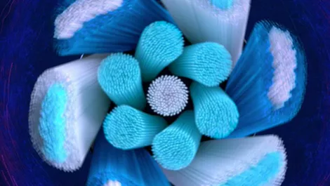 Hands-on Review: The Oral-B IO Series 9 electric toothbrush - it's pretty smart