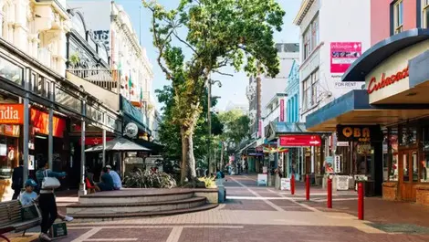 Wellington council steps in to support businesses
