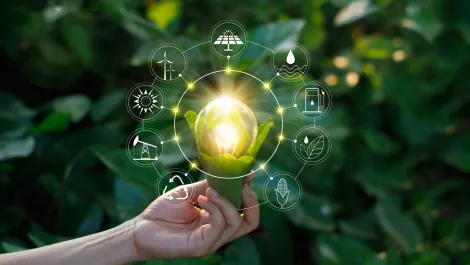 NZ businesses failing to reach sustainability goals