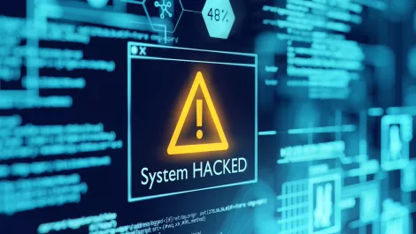 Vulnerabilities on the rise - public sector at risk