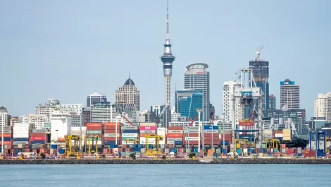 Ports of Auckland ends automation project and loses $65m