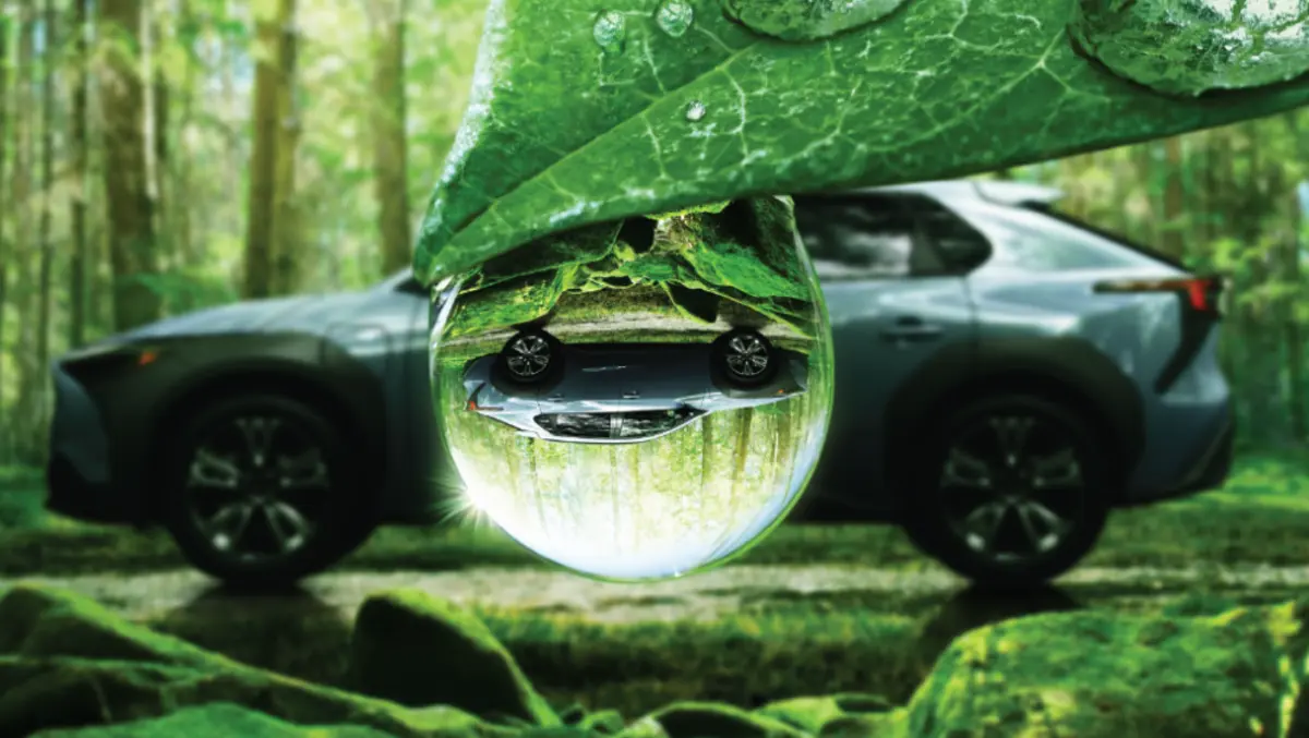 Powering EVs with trees