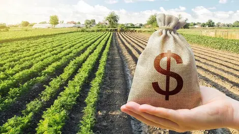 Should farmers pick up the slack for other sectors?