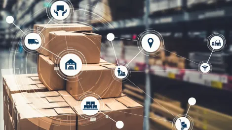 Blue Yonder improves PETstock's supply chain as pet adoption increases