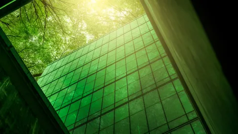 Exclusive: Greenbox on achieving carbon neutrality for enhanced ESG outcomes