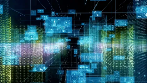 The increasing importance of citizen developers