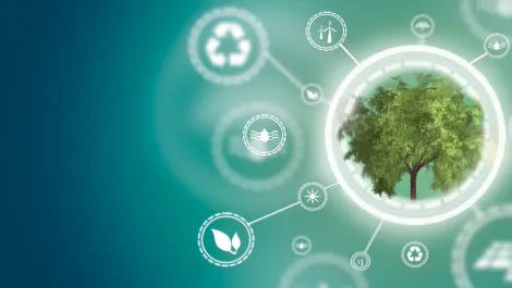 Neara launches a new automated LiDAR classification solution