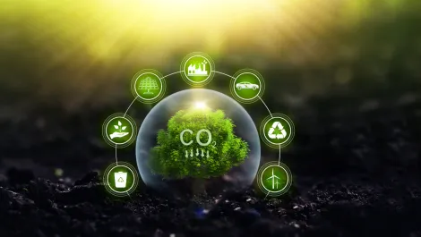 New Dynatrace app helps enterprises reduce their carbon footprint